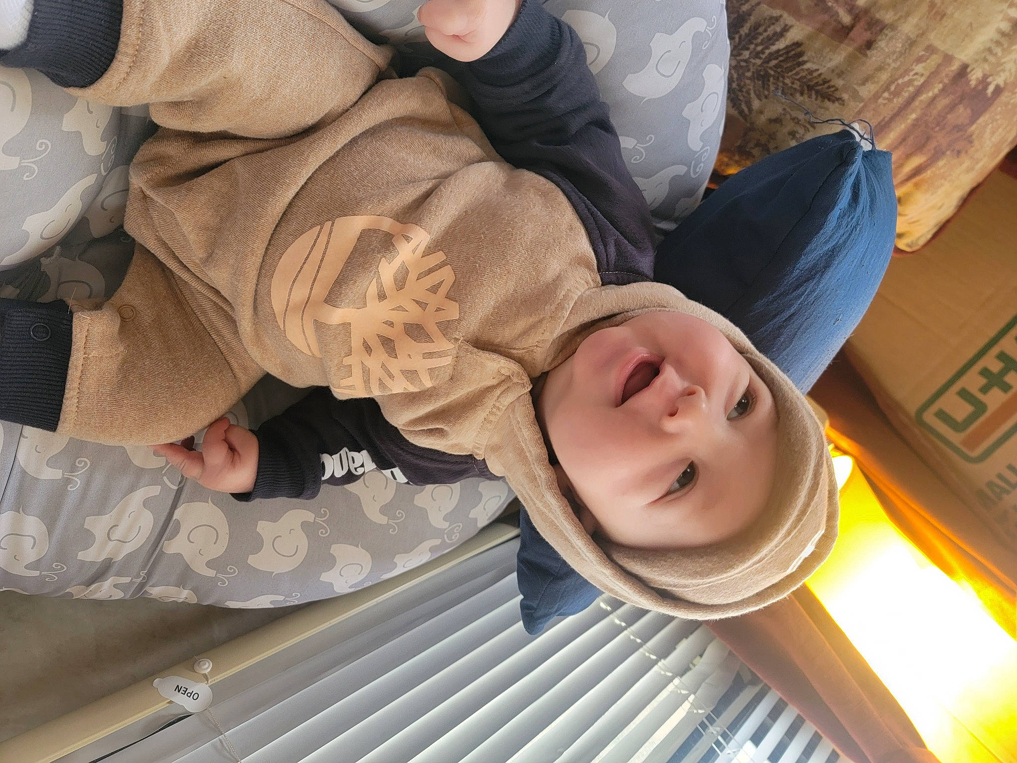 Christopher is registered to the contest to win money with this photo: child, comfort, fun, gesture, happy, hat, headwear, person, smile, sunglasses, thumb, toddler, tree, wood