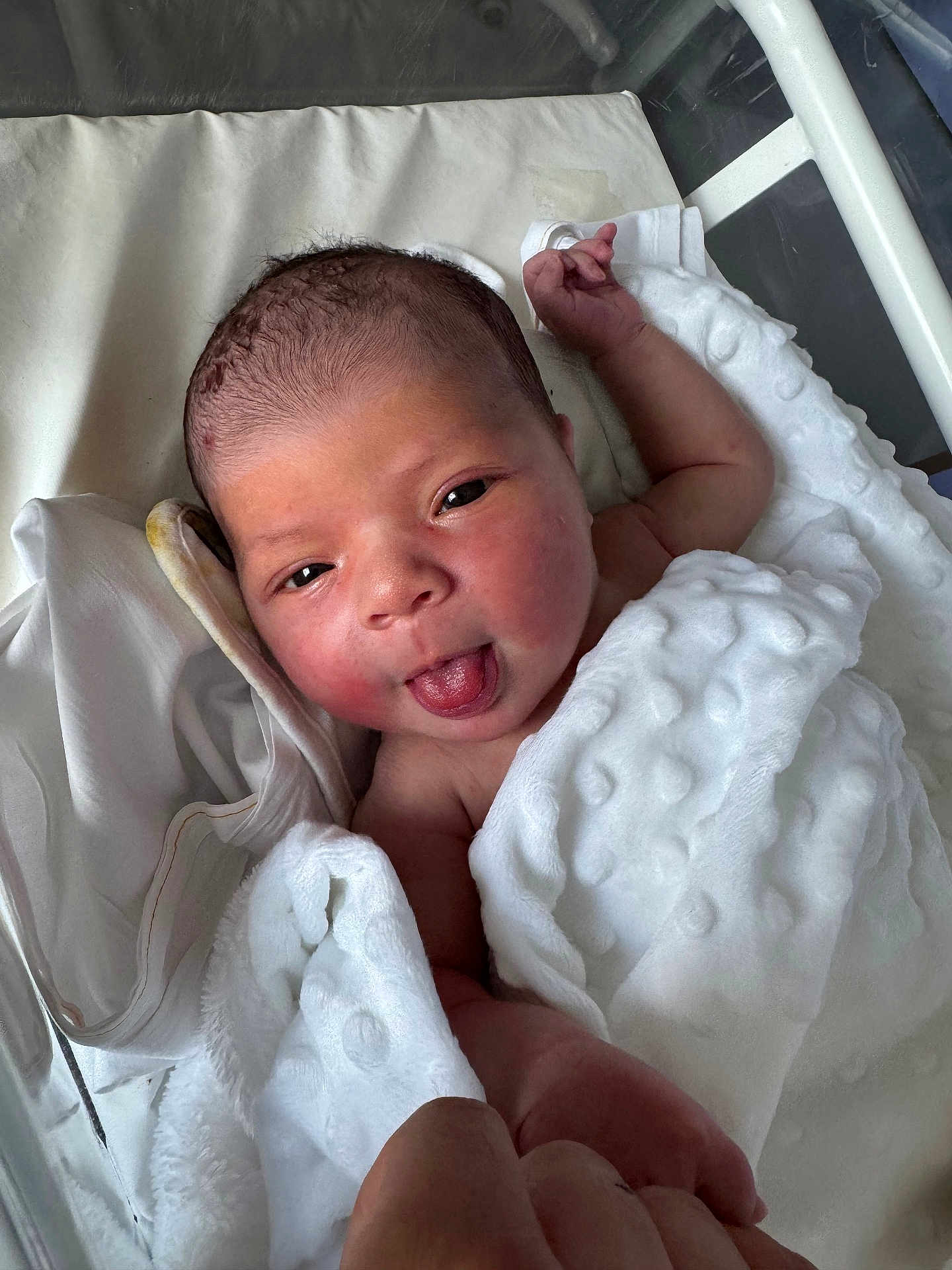 Lïyah participe au concours pour gagner de l'argent avec cette photo : baby, newborn, infant, blanket, crib, hand, tongue, face, skin, person, sleepwear, bed, comfort, cute, expression, fingers, rest, soft, indoors, lying