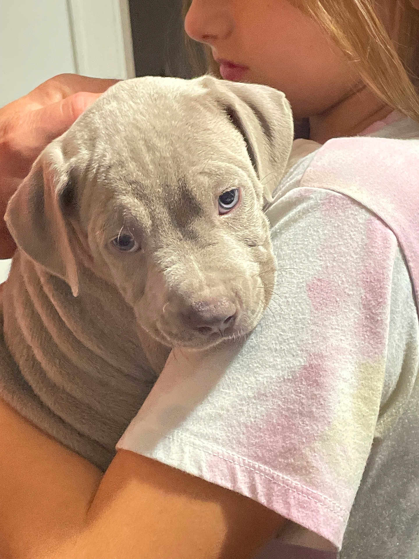 Jake is registered to the contest to win money with this photo: affection, casual_clothing, child, closeup, comfort, cuddle, cute, dog, hug, indoor, love, person, pet, portrait, puppy, shoulder, soft, tender, wrinkles, young