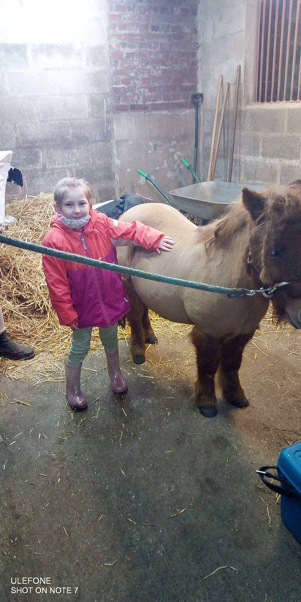 Lauriane a rejoint le concours — aidez-le/la à gagner de superbes lots ! bovine, concrete, cow_goat_family, horse, horse_supplies, horse_tack, livestock, mare, pack_animal, person, snout, terrestrial_animal, tradition, working_animal