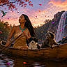 adventure, animal, canoe, colorful, dog, forest, hummingbird, leaves, nature, outdoor, paddle, portrait, raccoon, river, scenic, sunset, water, waterfall, wildlife, woman