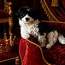 animal, black_and_white, crown, cushion, decor, dog, elegant, fluffy, furniture, gold_trim, indoor, luxury, pet, portrait, puppy, red_velvet, relaxed, royal, tassels, throne