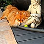 dog, pomeranian, statue, stone_statue, patio, tile_floor, outdoor, tennis_ball, fluffy, orange_fur, decor, garden, relaxed, resting, animal, sculpture, cute, companion, quiet, peaceful