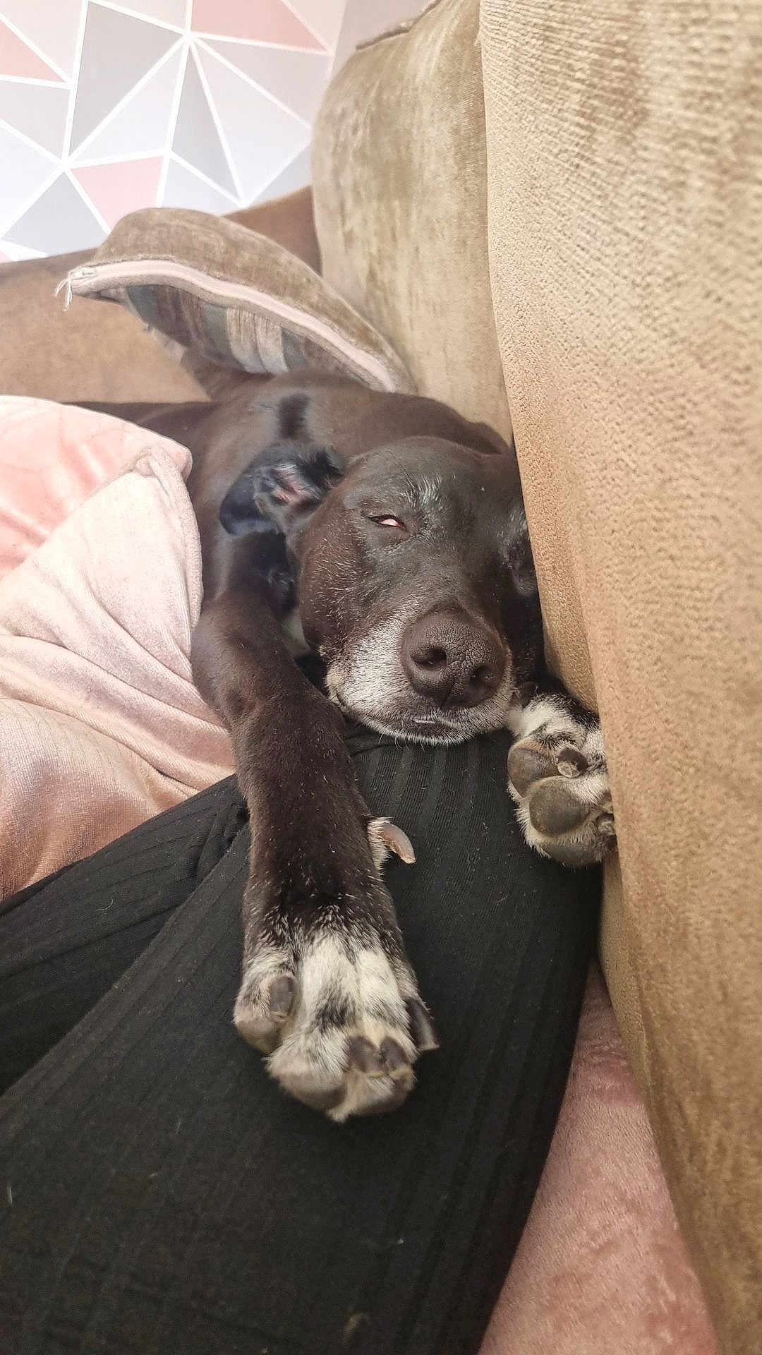 Mia