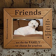 Marlie joined the competition — help win amazing prizes! animal, brown_couch, couch, cozy, dog, engraved_text, family, fluffy, friends, fur, home_decor, indoor, pet, photo_frame, portrait, quote, relaxing, resting, white_dog, wooden_frame
