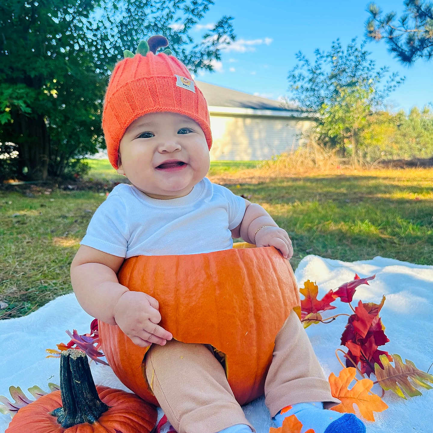 Sneijder is registered to the contest to win money with this photo: autumn_leaves, baby, blue_sky, child, cute, fall, festive, grass, happy, hat, holiday, nature, outdoor, pants, pumpkin, seasonal, smile, socks, sunlight, white_blanket
