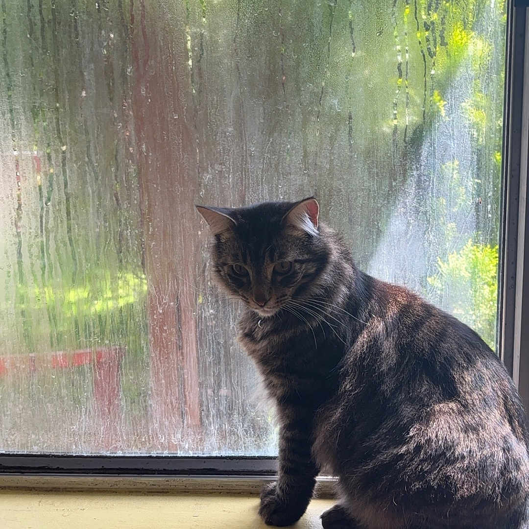 Oliver