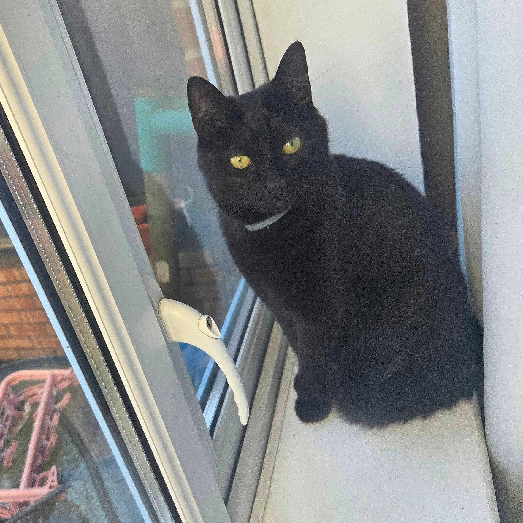 Charlie joined the competition — help win amazing prizes! animal, black_cat, calm, cat, closeup, curious, daylight, domestic_cat, feline, glass, house, indoor, pet, portrait, quiet, reflection, sitting, window, windowsill, yellow_eyes