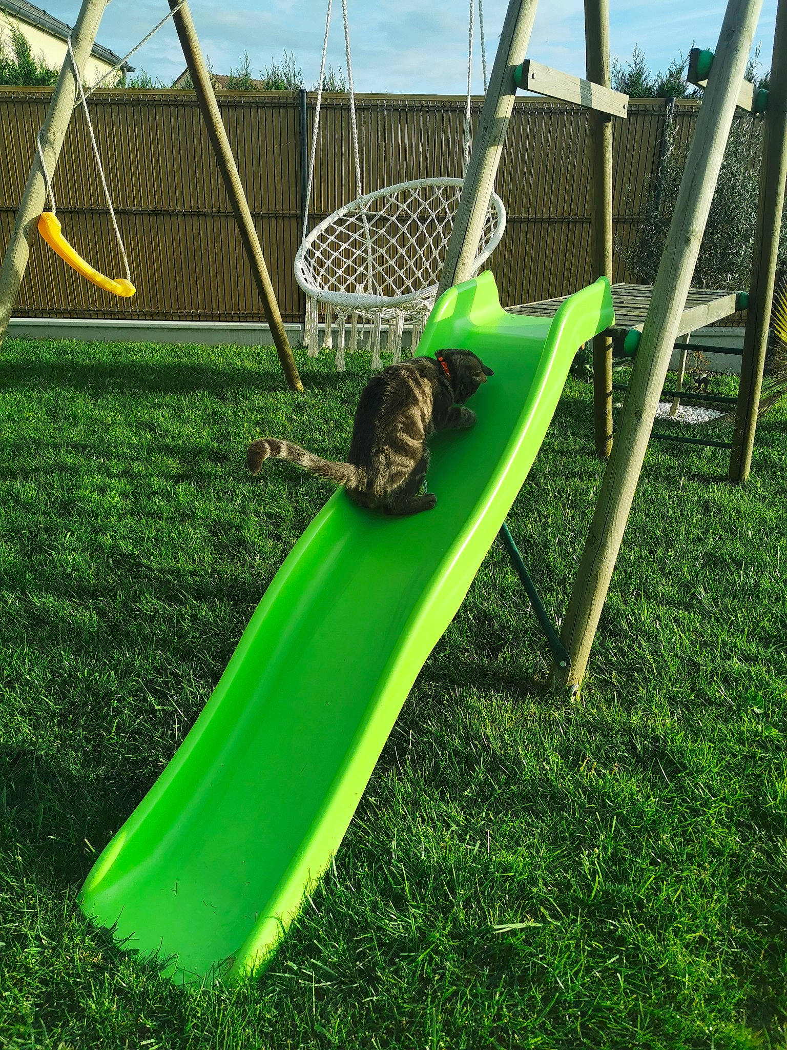 Tiki participe au concours pour gagner de l'argent avec cette photo : chute, city, field, grass, grass_family, grassland, hammock, leisure, mesh, net, outdoor_play_equipment, playground, playground_slide, recreation, shade, sky, soil, swing, tree, wood