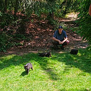 Spunky joined the competition — help win amazing prizes! cat, cats, man, person, outdoors, forest, woodland, nature, grass, path, trees, greenery, sunlight, shadows, black_cat, tabby_cat, crouching, portrait, pets, animal
