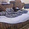 Speedy joined the competition — help win amazing prizes! cat, black_cat, kitten, pet, animal, indoors, bed, bedding, blanket, couch, sofa, pillows, bedroom, furniture, cozy, sitting, looking_at_camera, black_fur, household, portrait