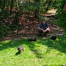 cat, cats, person, man, outdoors, forest, woods, garden, grass, lawn, nature, trees, path, crouching, black_cat, brown_cat, greenery, sunlight, animals, portrait