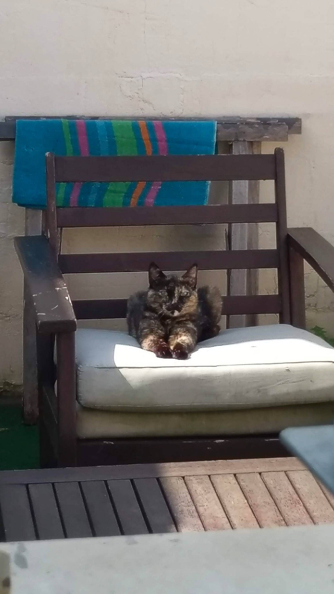 Nelson participe au concours pour gagner de l'argent avec cette photo : chair, furniture, outdoor_furniture, room, table