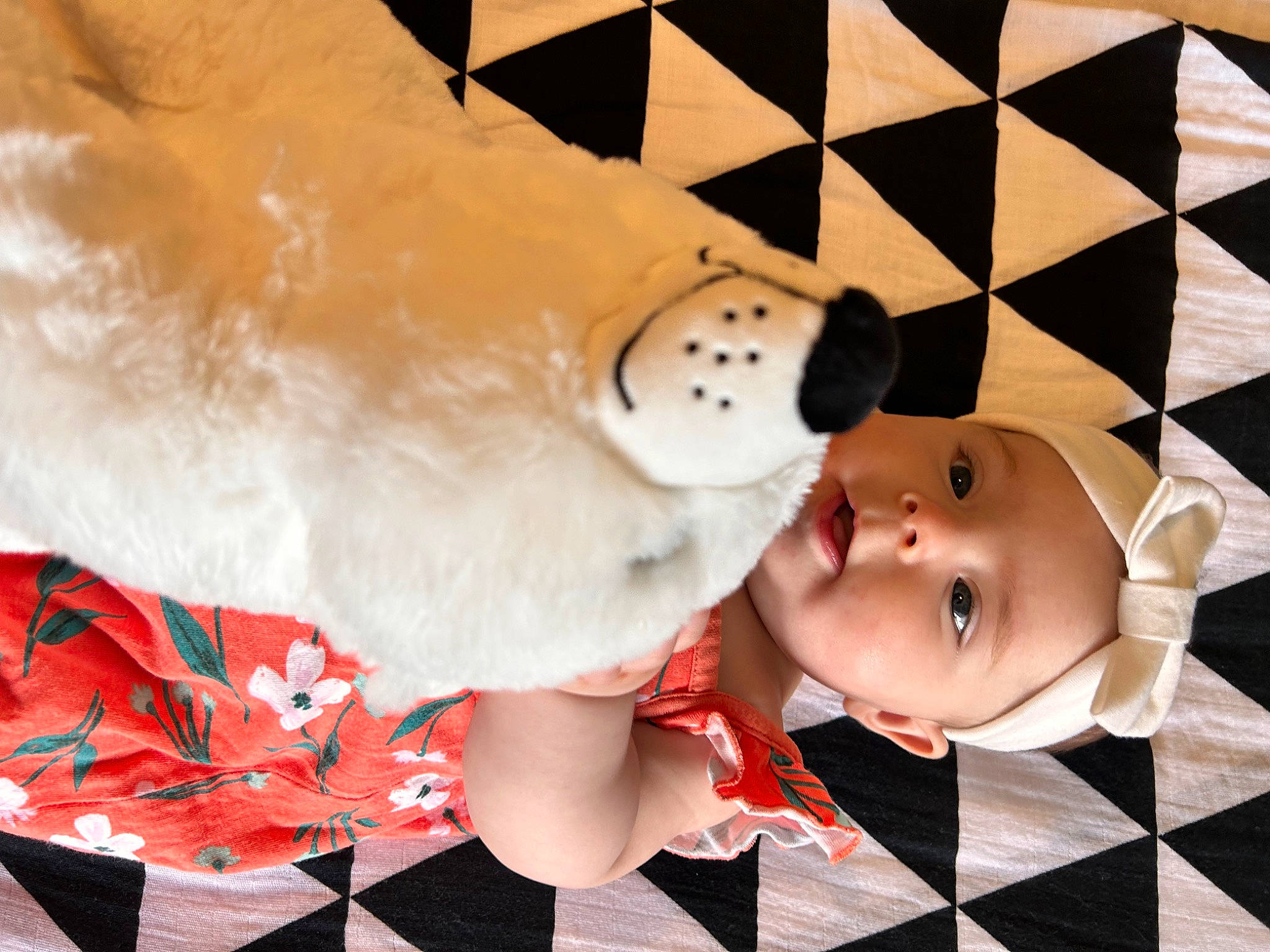 Hadlee joined the competition — help win amazing prizes! art, baby, carmine, child, face, flooring, fur, happy, head, nose, pattern, person, personal_protective_equipment, plush, recreation, stuffed_toy, teddy_bear, textile, toddler, toy
