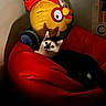 Cleo joined the competition — help win amazing prizes! animal, bean_bag, black_and_white, cat, chicken, colorful, comfort, cozy, cute, furniture, home, indoor, lighting, pet, plush_toy, red, relaxing, resting, shadow, soft_toy