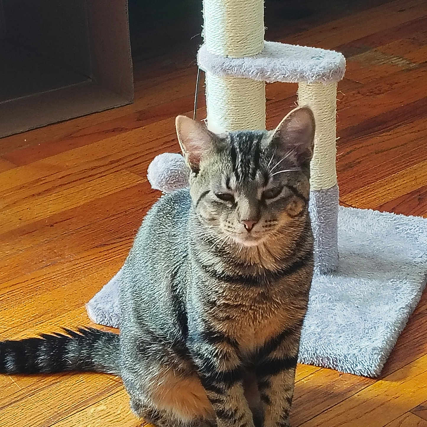 Kiki