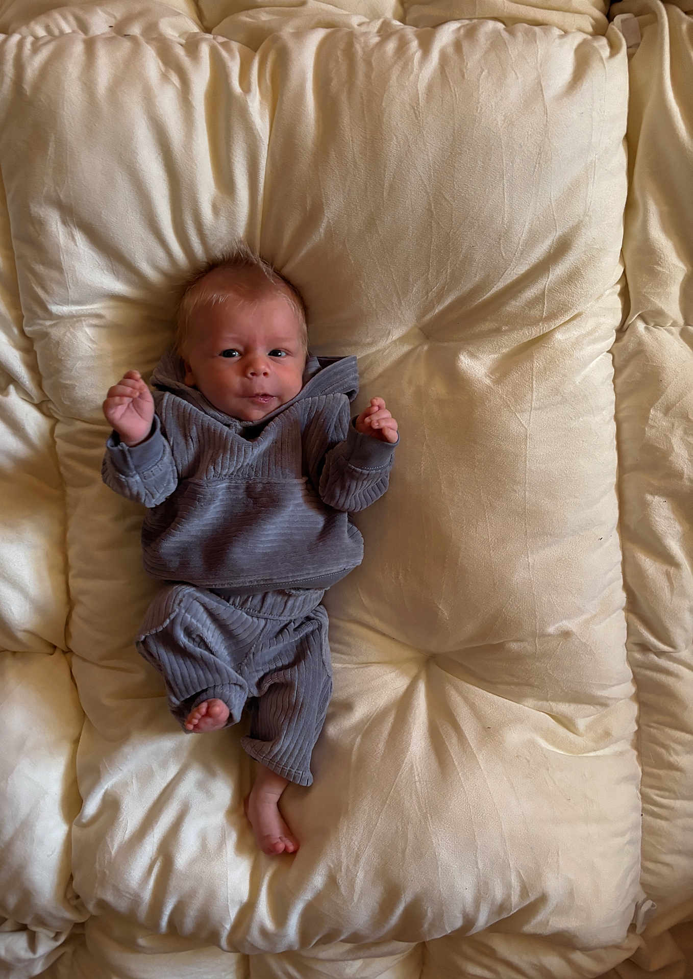 Waylon joined the competition — help win amazing prizes! baby, newborn, infant, cushion, bedding, pillow, blanket, bed, sleepwear, hoodie, gray_clothes, corduroy, lying_down, portrait, cute, small_feet, hands, soft_texture, indoors, expression
