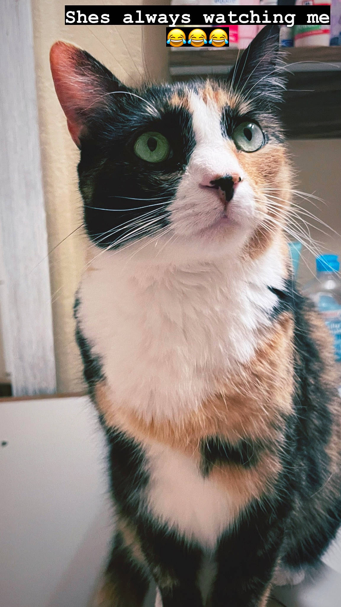 Eva