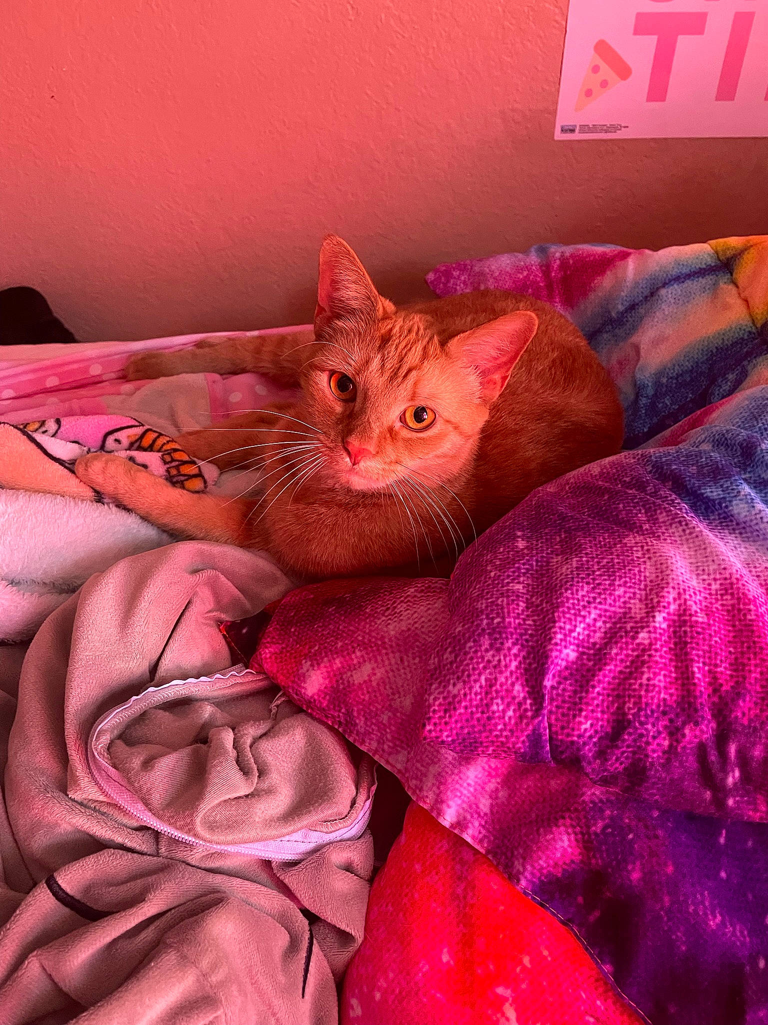 Pablo