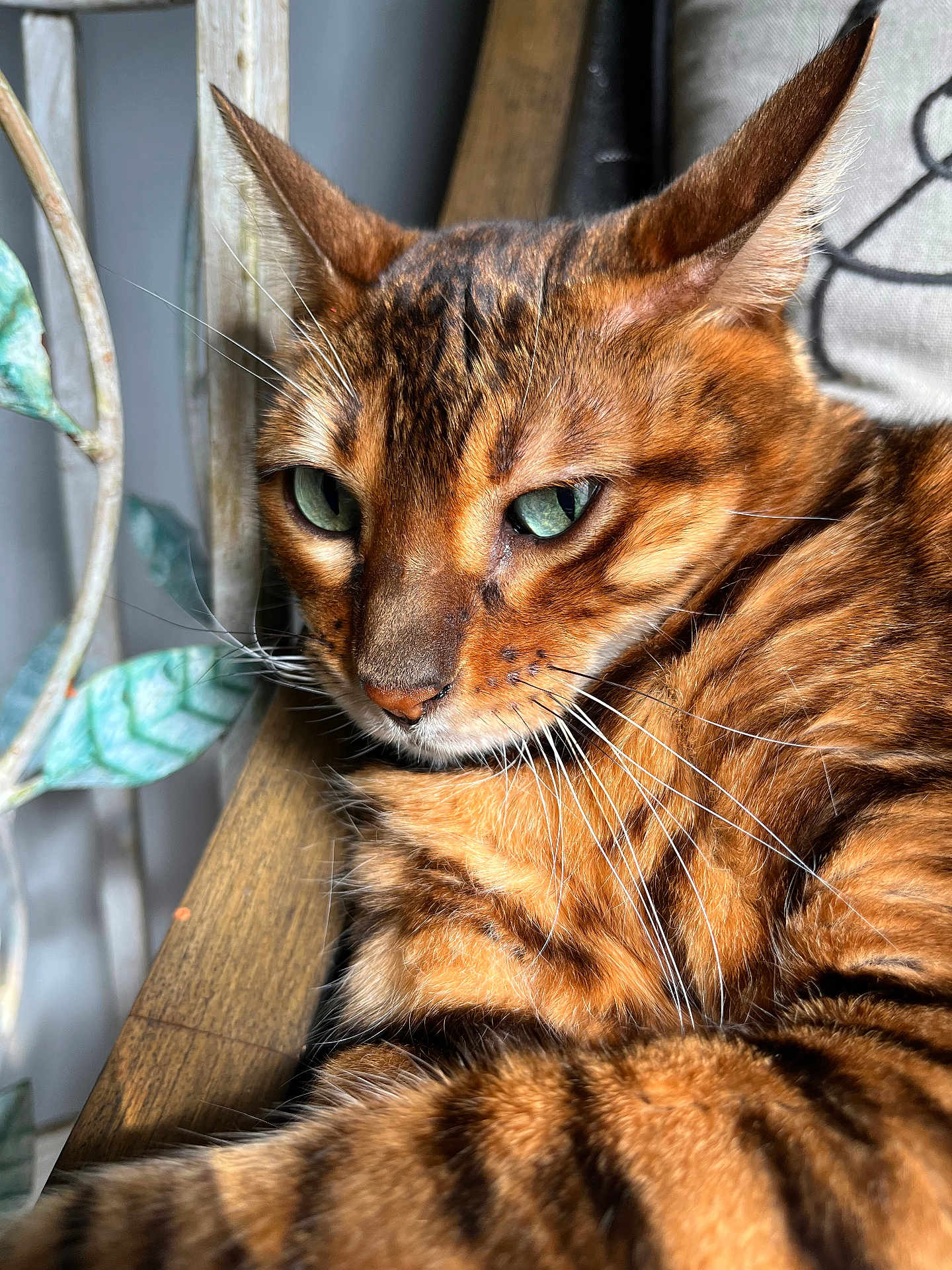 Tiki