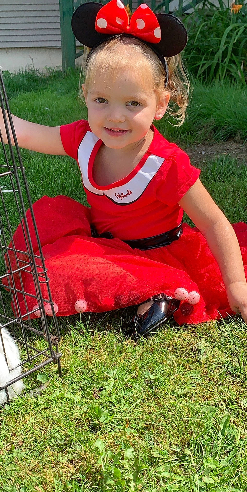 Trinity is registered to the contest to win money with this photo: child, grass, joy, lawn, person, play, sitting, toddler