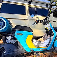 Mochi is registered to the contest to win money with this photo: dog, french_bulldog, puppy, pet, animal, scooter, segway, basket, vehicle, motorized_vehicle, van, outdoor, sunlight, street, parked, blue, yellow, transportation, portrait, ears