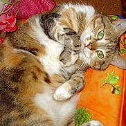 Erin a rejoint le concours — aidez-le/la à gagner de superbes lots !