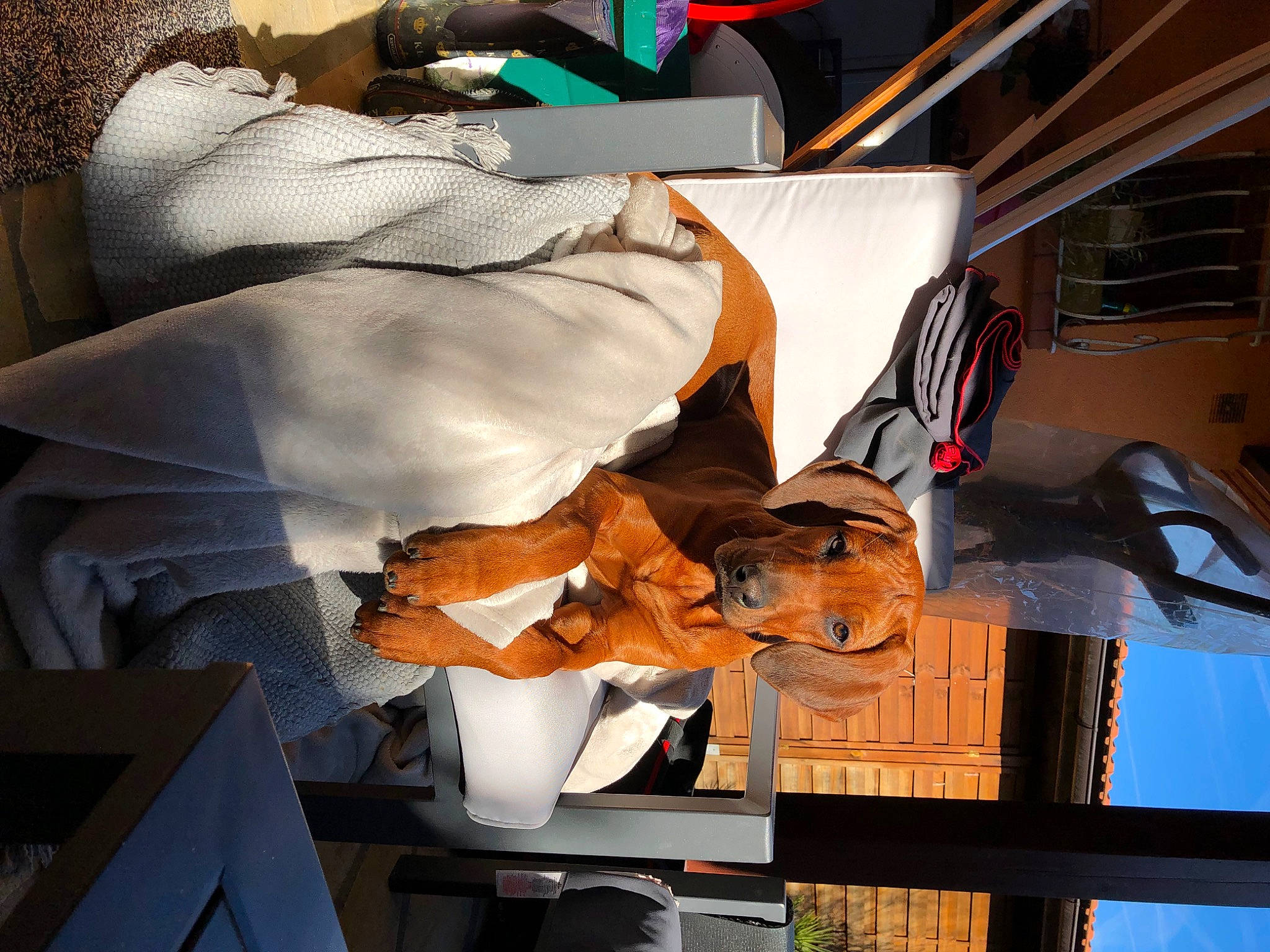 Obassi participe au concours pour gagner de l'argent avec cette photo : art, carmine, comfort, hat, machine, room, service, white, wood