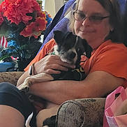 Brody joined the competition — help win amazing prizes! person, dog, indoor, armchair, flowers, glasses, orange_shirt, pet, comfort, seated, tote_bag, black_and_white_dog, hand, home, decor, relaxation, casual, fur, tail, love