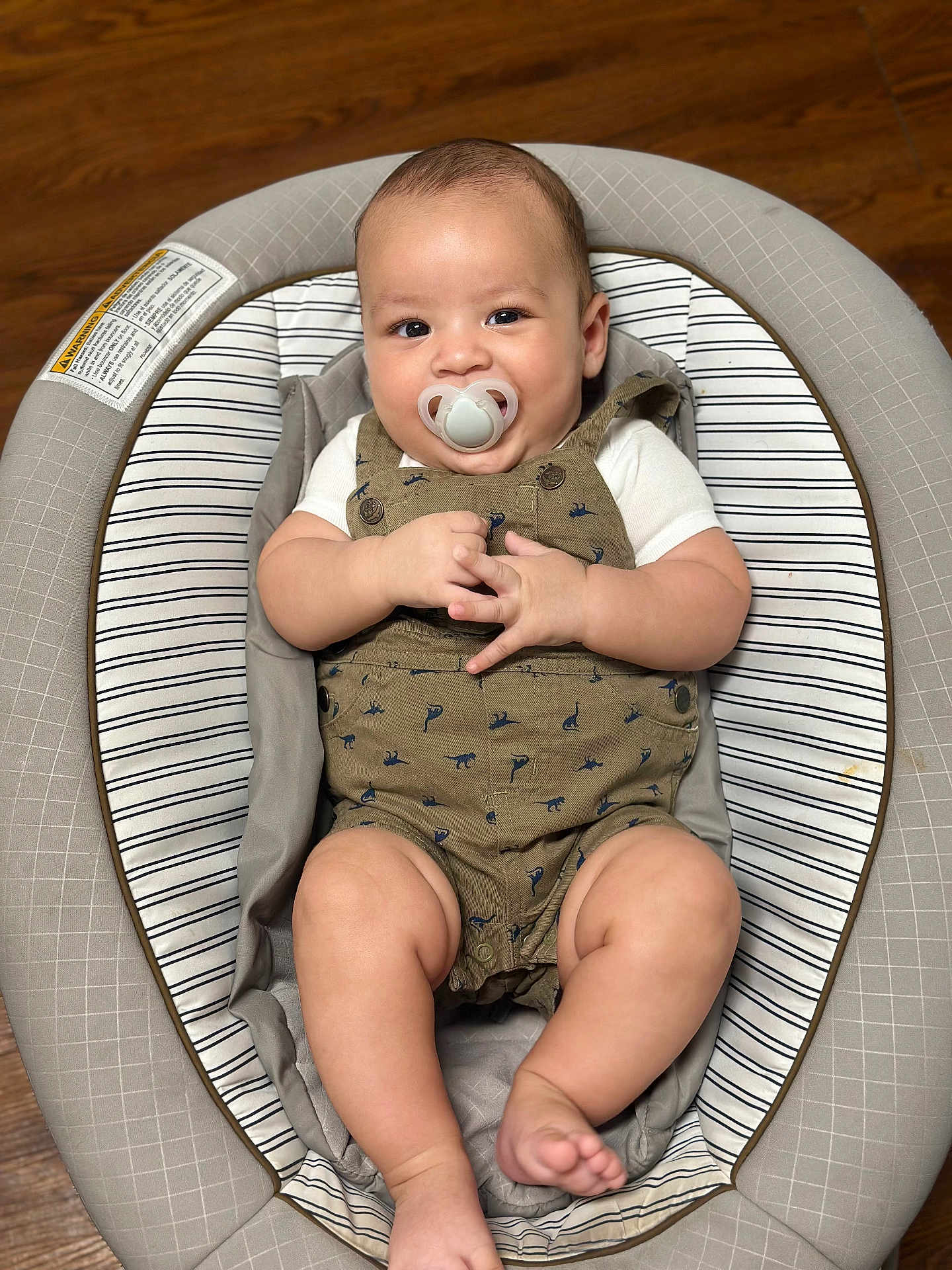 Lucas Ayala is registered to the contest to win money with this photo: baby, pacifier, infant, baby_seat, cushion, clothing, dinosaur_pattern, wooden_floor, cute, chubby, smiling, hands, legs, feet, portrait, indoor, comfortable, relaxed, child, person