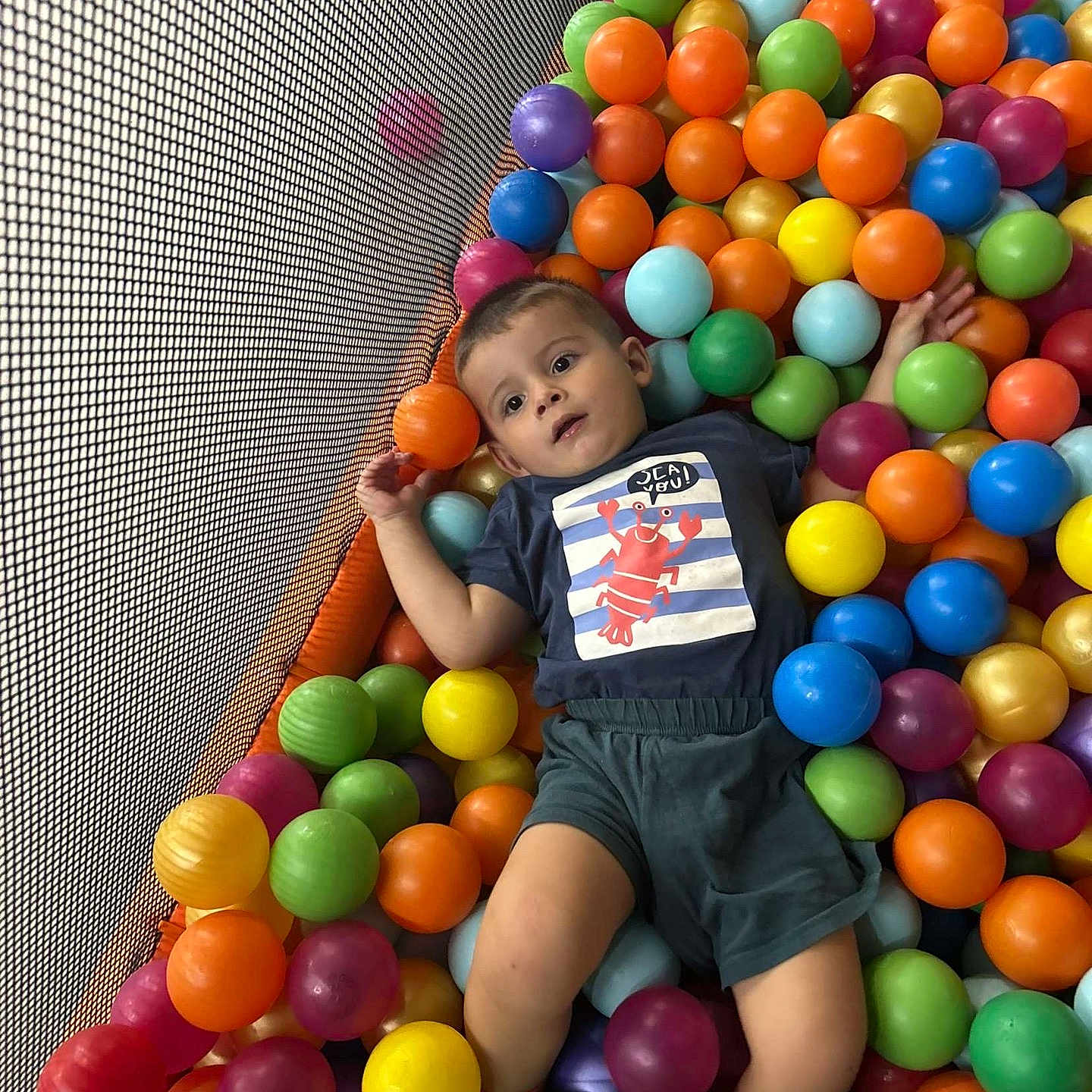 Jules a rejoint le concours — aidez-le/la à gagner de superbes lots ! ball_pit, bright_colors, casual_clothing, child, colorful_balls, curious, fun, indoor, leisure, lobster_graphic, netting, plastic_balls, play_area, playtime, portrait, relaxing, shorts, toddler, tshirt, young_child