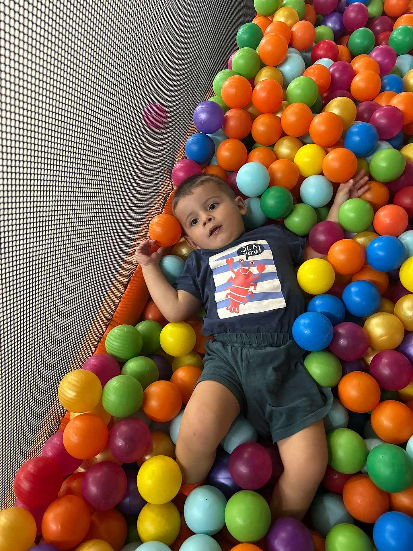 Jules a rejoint le concours — aidez-le/la à gagner de superbes lots ! ball_pit, bright_colors, casual_clothing, child, colorful_balls, curious, fun, indoor, leisure, lobster_graphic, netting, plastic_balls, play_area, playtime, portrait, relaxing, shorts, toddler, tshirt, young_child