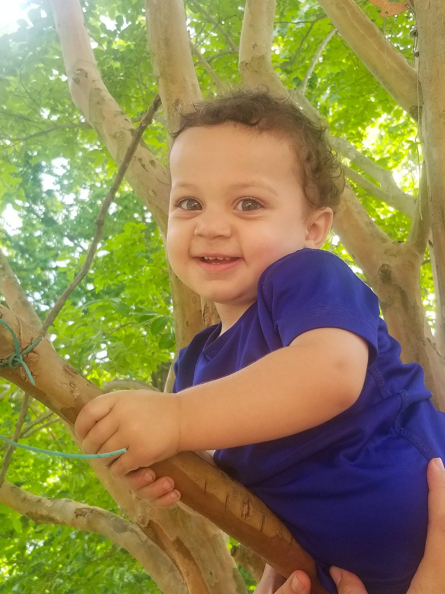 Carsen joined the competition — help win amazing prizes! botany, fawn, happy, joy, person, plant, smile, tree, trunk