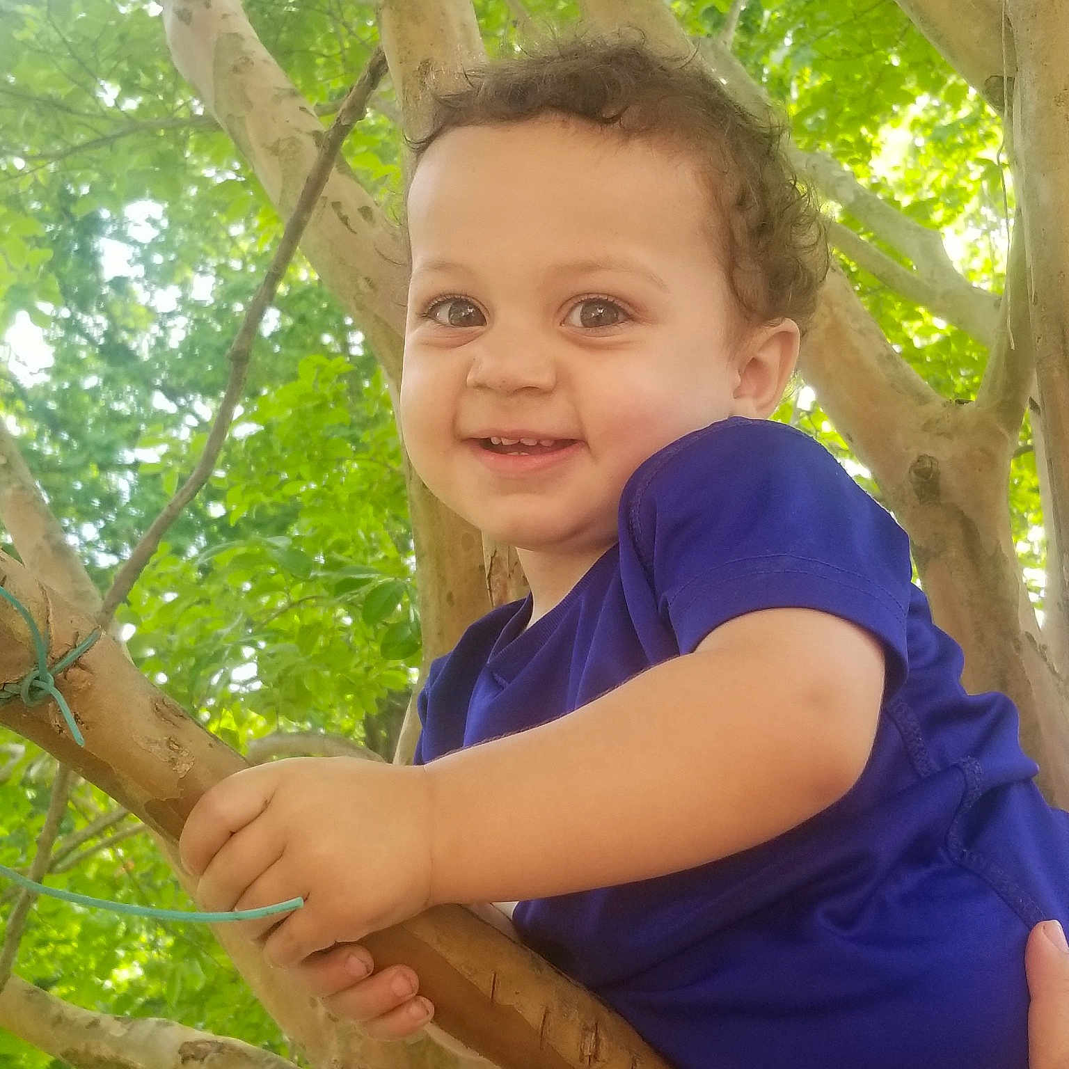 Carsen joined the competition — help win amazing prizes! botany, fawn, happy, joy, person, plant, smile, tree, trunk