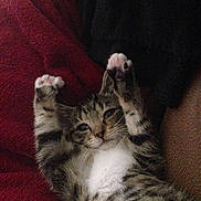 Addie is registered to the contest to win money with this photo: