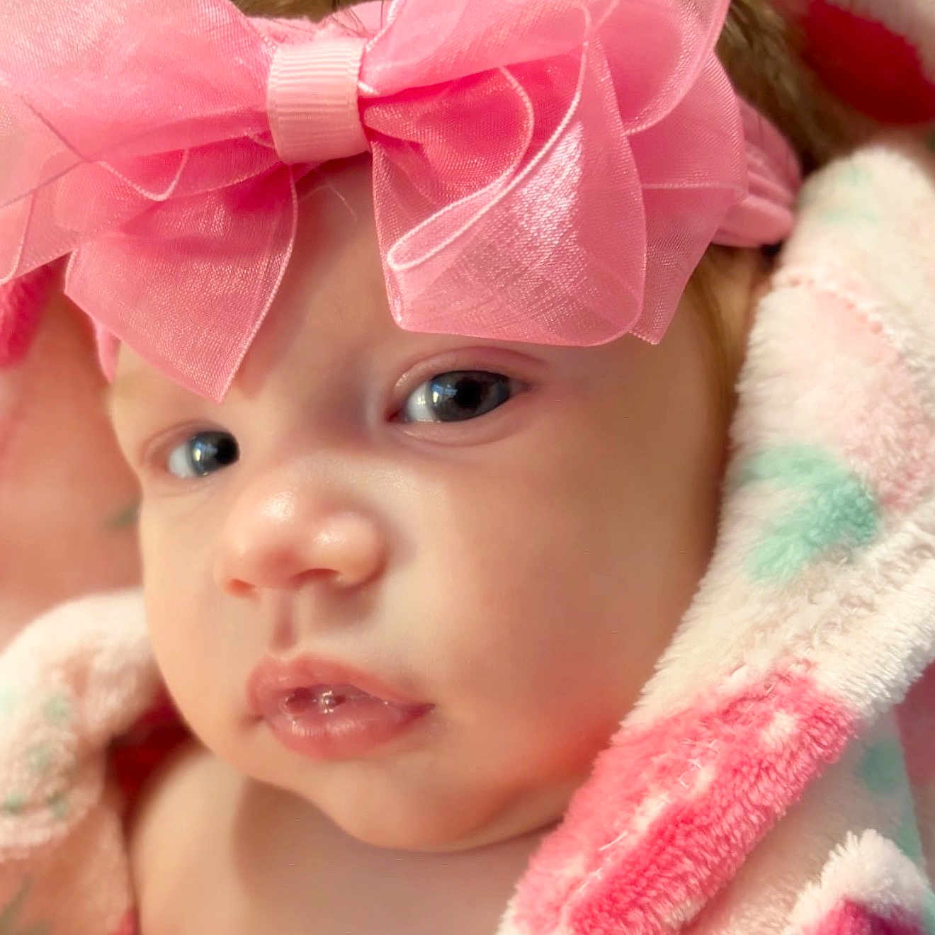 Bianca Rose joined the competition — help win amazing prizes! baby, infant, child, face, portrait, close_up, pink_bow, hair_accessory, wide_eyes, looking_at_camera, drool, blanket, fluffy, pastel, pink, cozy, indoors, soft_lighting, cute, headshot