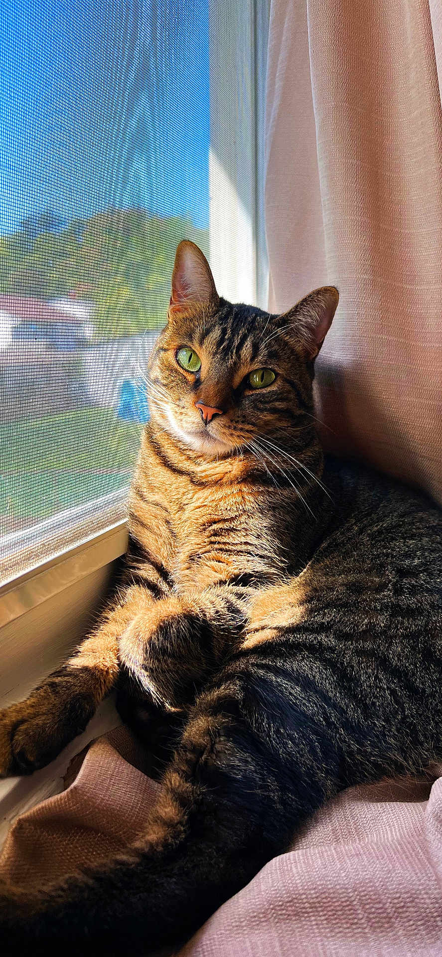 Rico