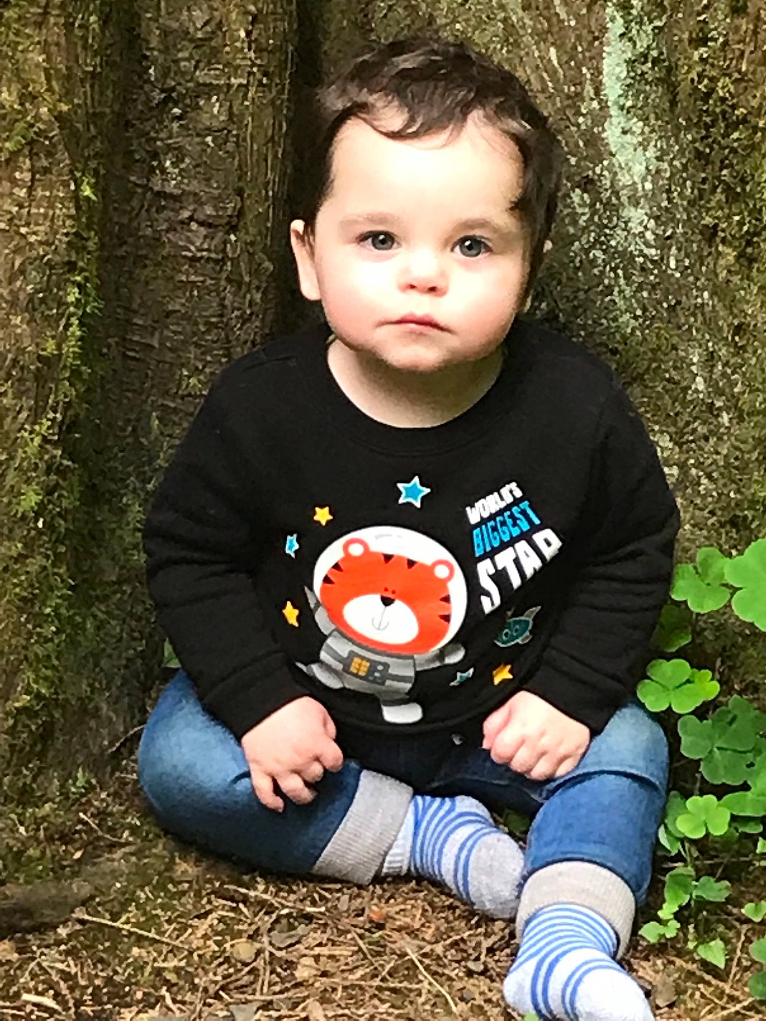 Jesse is registered to the contest to win money with this photo: baby, baby_toddler_clothing, child, cool, grass, leaf, person, photography, plant, play, portrait_photography, sitting, sleeve, smile, t_shirt, toddler, tree