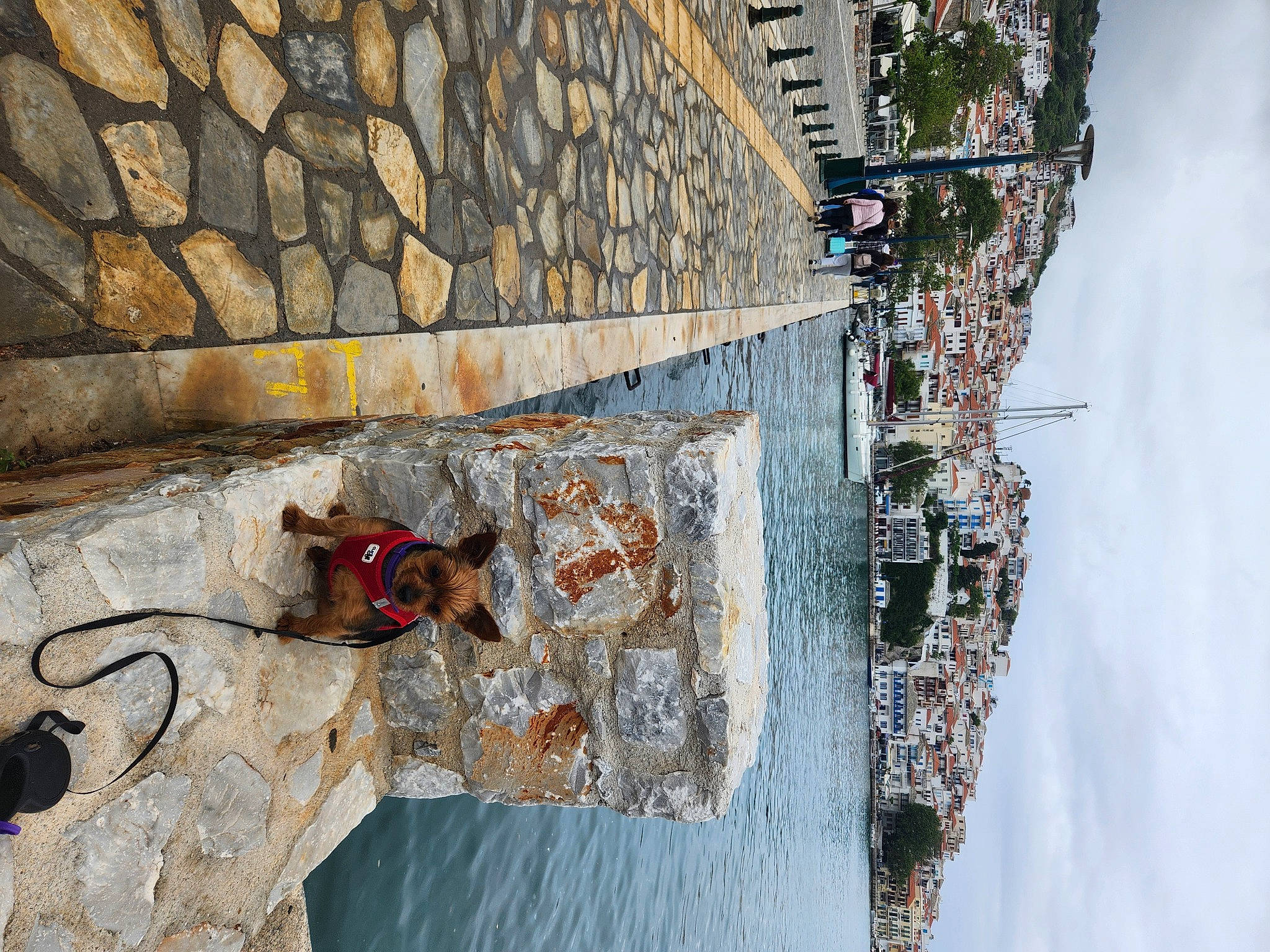 Fripouille participe au concours pour gagner de l'argent avec cette photo : adventure, brickwork, building, city, concrete, extreme_sport, facade, landscape, leisure, line, recreation, rock_climbing_equipment, rope, sky, sport_climbing, town, urban_design, wall, wire, wood