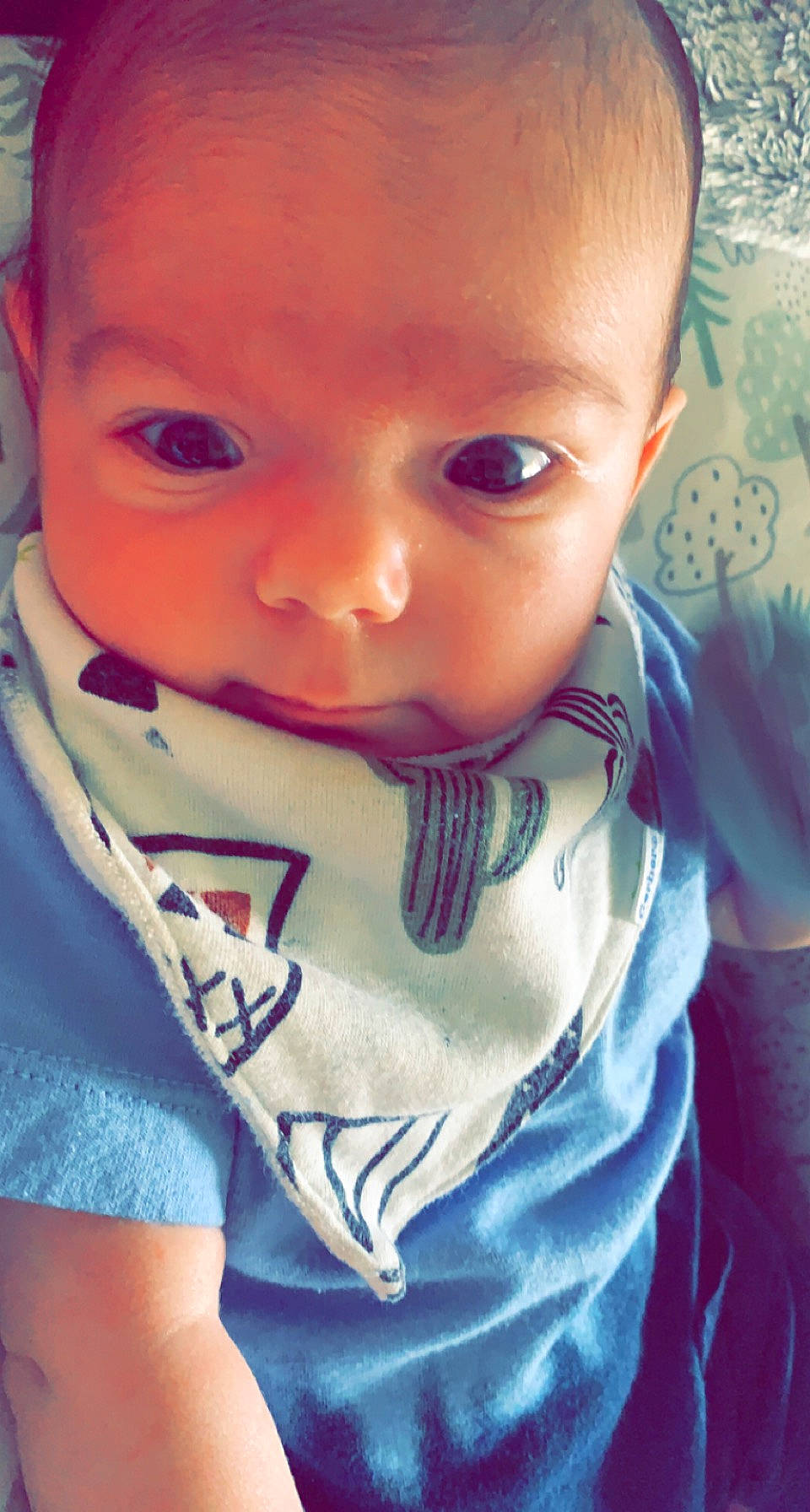 Silas joined the competition — help win amazing prizes! baby_toddler_clothing, blue, cheek, chin, ear, eye, eyebrow, eyelash, forehead, hair, head, human_body, jaw, lip, mouth, muscle, neck, nose, organ, person