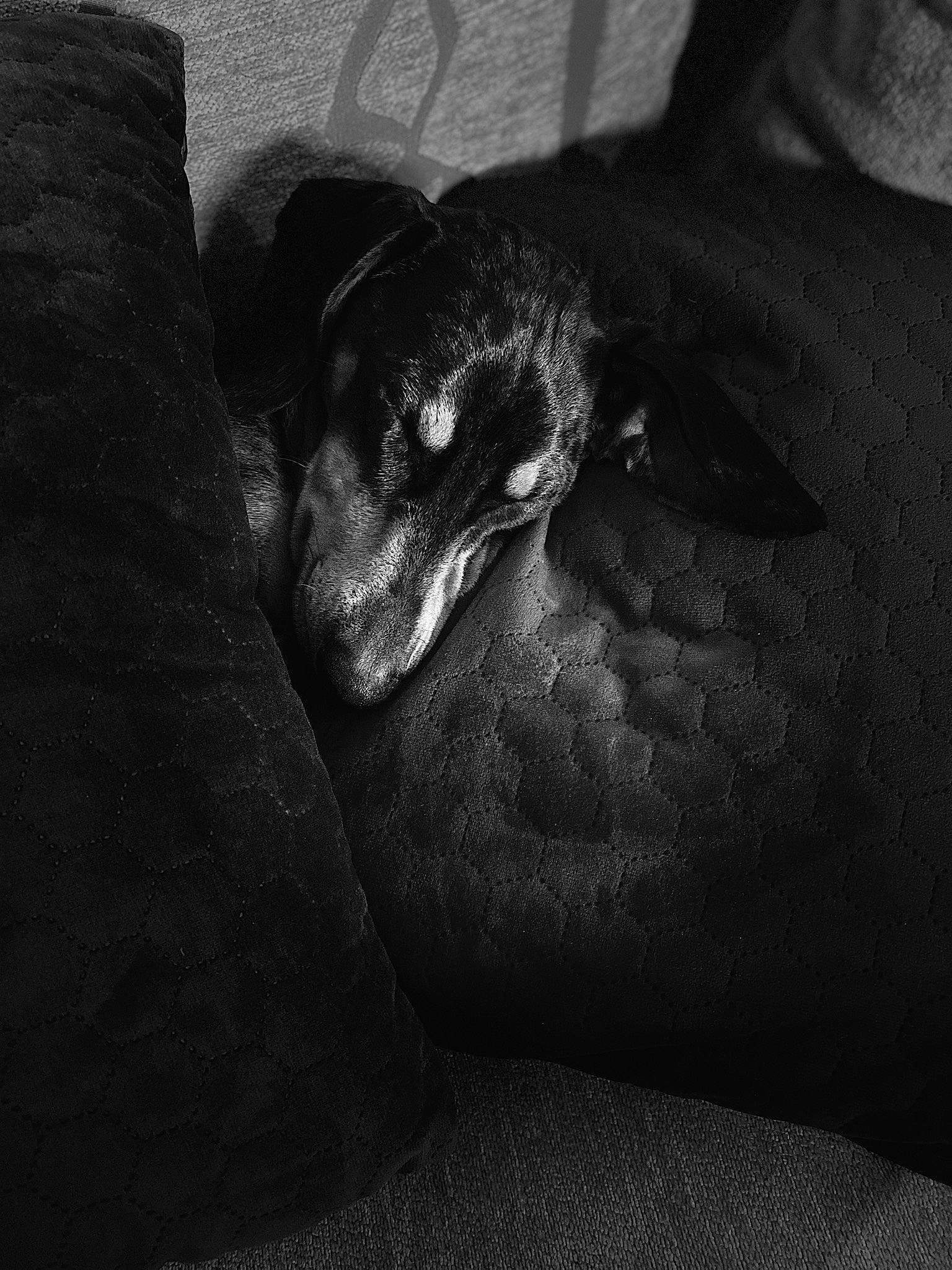 One participe au concours pour gagner de l'argent avec cette photo : black, black_and_white, darkness, hand, leg, monochrome, monochrome_photography, photography, still_life_photography, style