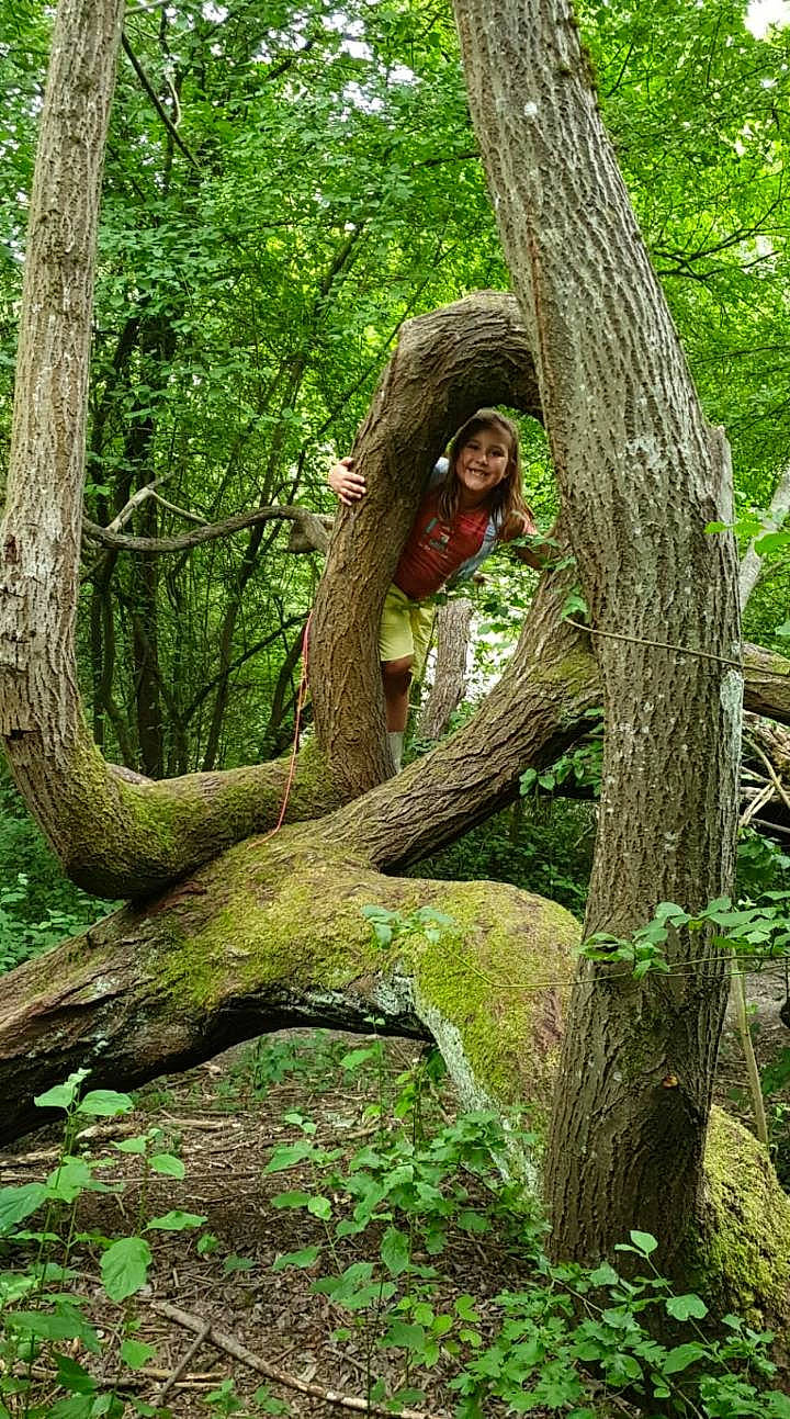 Inaya a rejoint le concours — aidez-le/la à gagner de superbes lots ! adaptation, biome, branch, deciduous, ecoregion, forest, grass, grove, joy, natural_landscape, organism, people_in_nature, person, plant, temperate_broadleaf_and_mixed_forest, terrestrial_plant, tree, trunk, wood, woodland