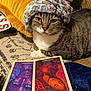 animal, carpet, cat, closeup, colorful, cozy, curious, decor, domestic, feline, floor, headscarf, indoor, mystical, patterned, pet, pillow, resting, tabby_cat, tarot_cards
