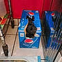 black_dog, box, cardboard, curious, cute, dog, floor, hiding, hole, indoor, kitchen, mirror, peek, pepsi, pet, red_wall, reflection, small_dog, tile, wheel