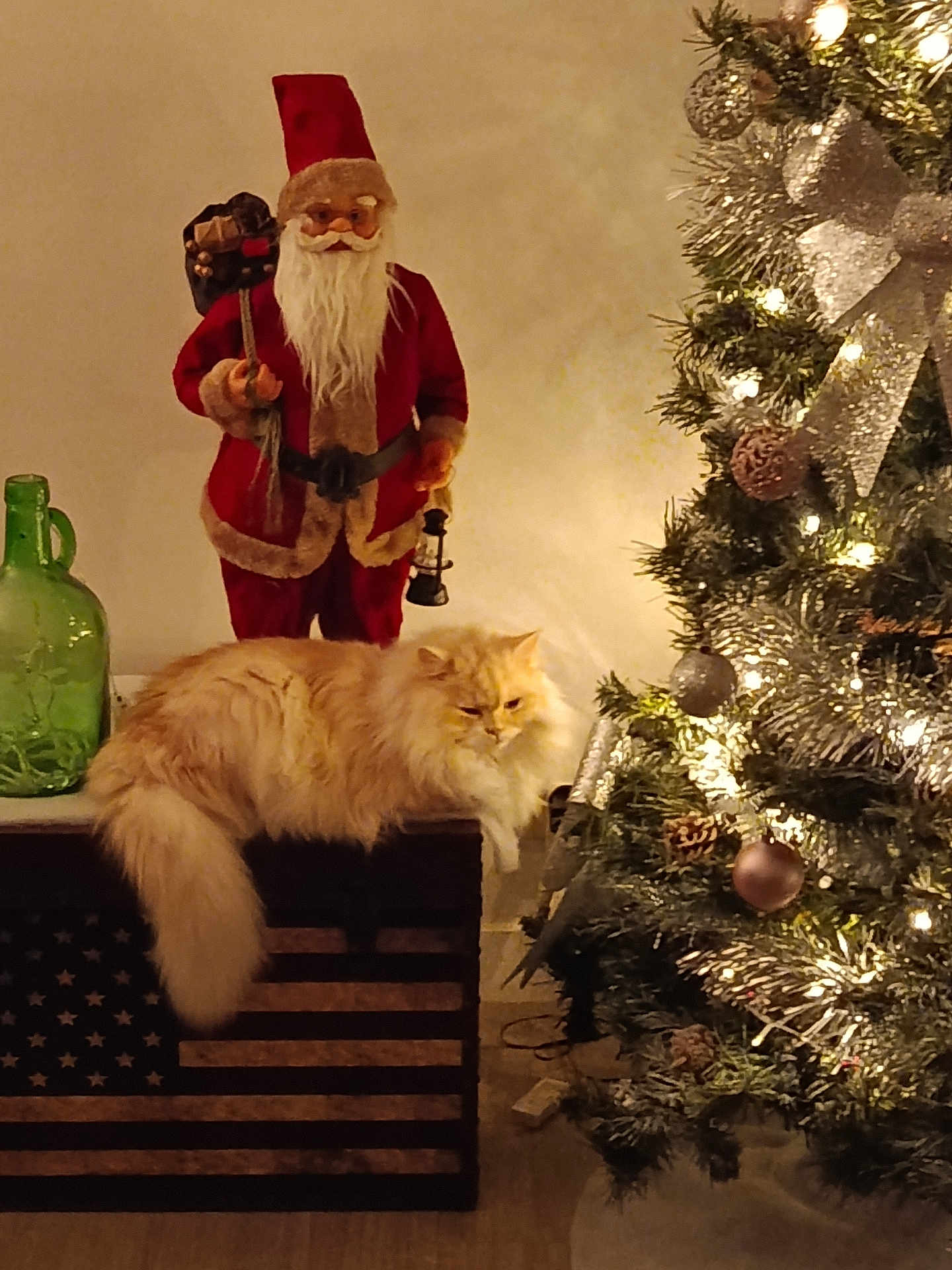 Kikinette a rejoint le concours — aidez-le/la à gagner de superbes lots ! cat, fluffy_cat, christmas_tree, holiday_decor, santa_claus_figure, ornaments, lights, bow, pine_cones, greenery, wood_floor, decorative_chest, american_flag, vintage_decor, indoor, cozy, festive, relaxed_cat, holiday_spirit, warm_lighting
