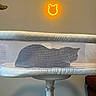 bassinet, bear_shape, cat, chair_base, cozy, floor, furniture, home, indoor, letters, mesh, neon_light, pet, playpen, quiet, resting, shadow, silhouette, wall, xavier