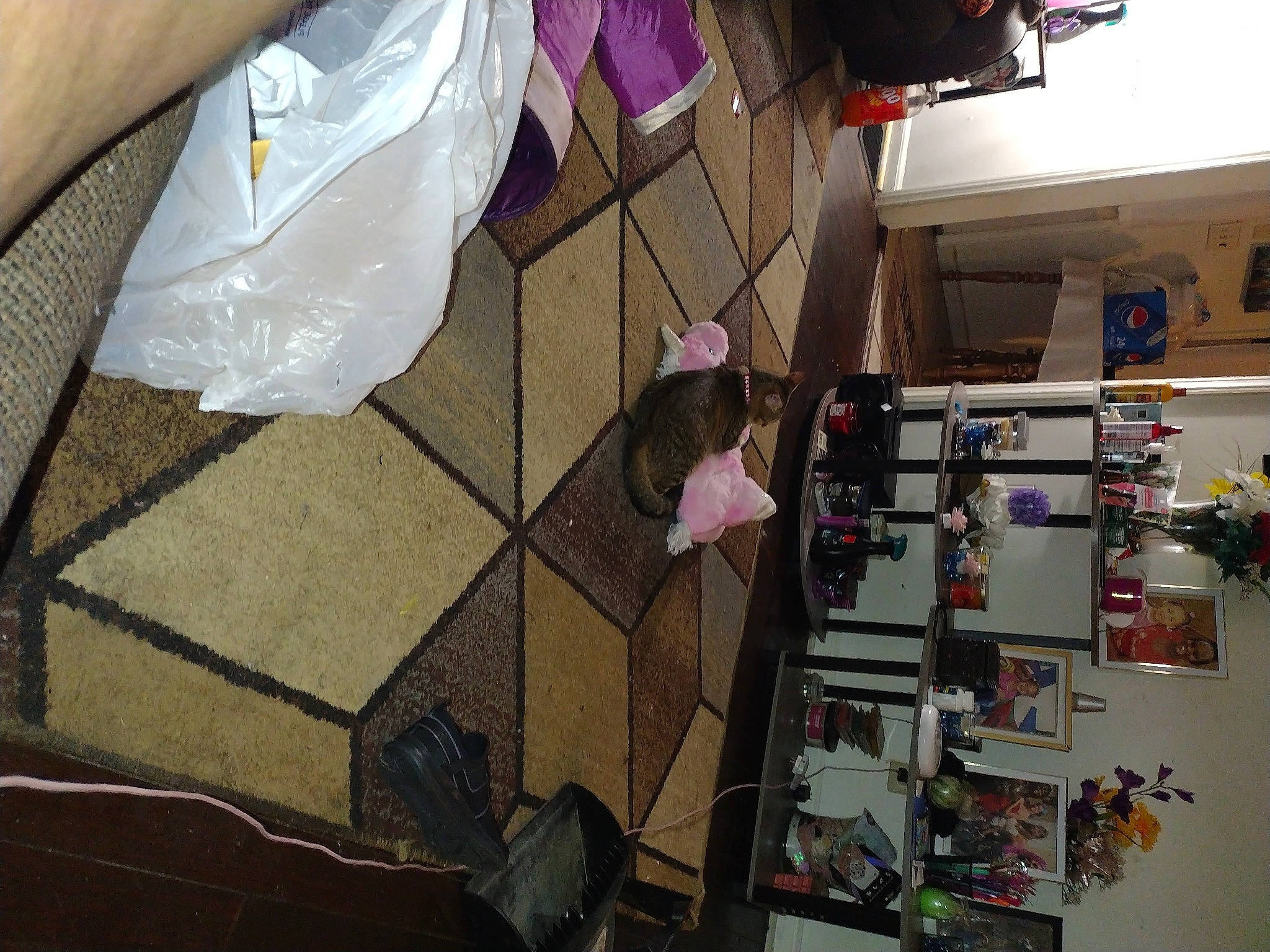 Sebastian joined the competition — help win amazing prizes! ceiling, eyewear, fashion, flooring, human_leg, linens, machine, pattern, room, shelving, textile, thigh, tints_and_shades, visual_arts