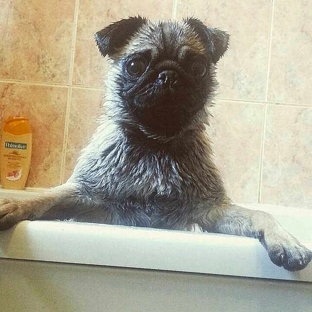 Doug is registered to the contest to win money with this photo: