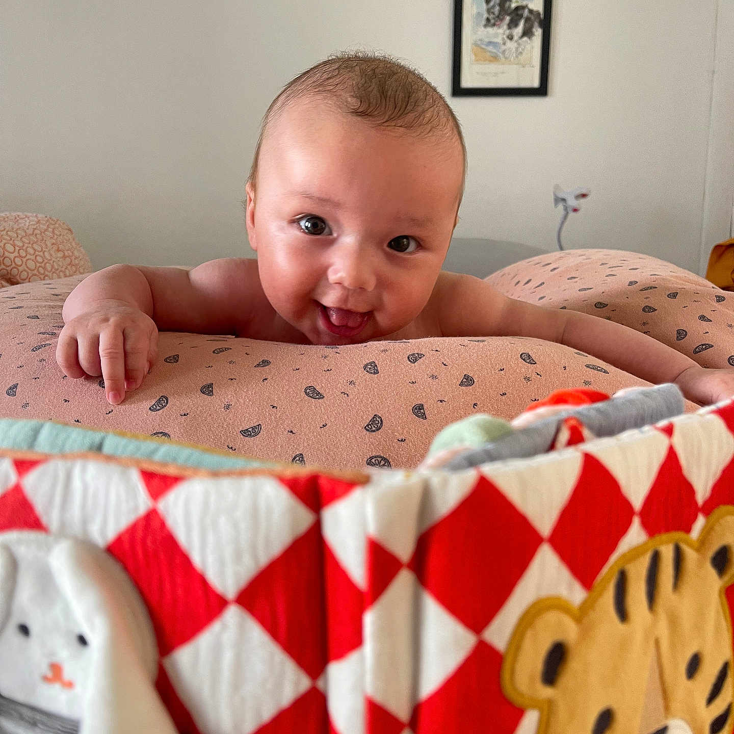 Arlo a rejoint le concours — aidez-le/la à gagner de superbes lots ! baby, bunny_design, child, cushion, cute, dog_painting, face, furniture, happy, head, indoor, infant, patterned_fabric, person, quilt, room, smiling, tiger_design, tongue_out, wall_art