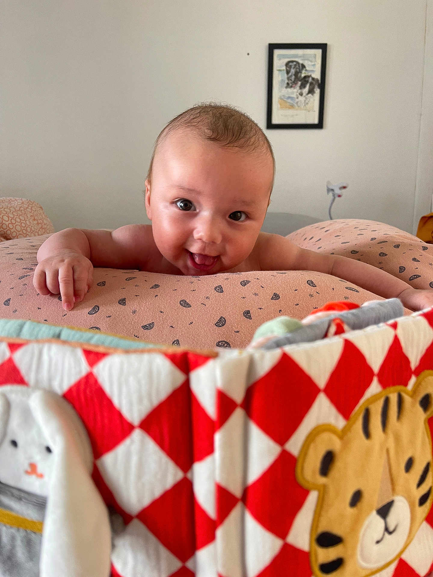 Arlo a rejoint le concours — aidez-le/la à gagner de superbes lots ! baby, infant, smiling, tongue_out, cushion, patterned_fabric, quilt, tiger_design, bunny_design, wall_art, dog_painting, indoor, person, face, head, happy, cute, child, room, furniture